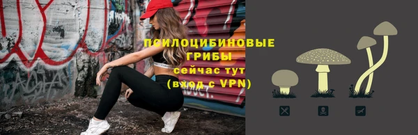 герыч Болохово
