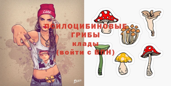 мяу мяу мука Пестово