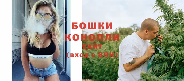 винт Пересвет
