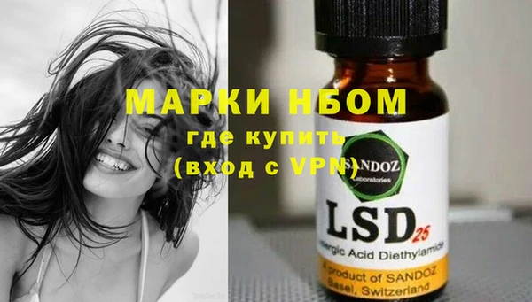 стафф Бородино