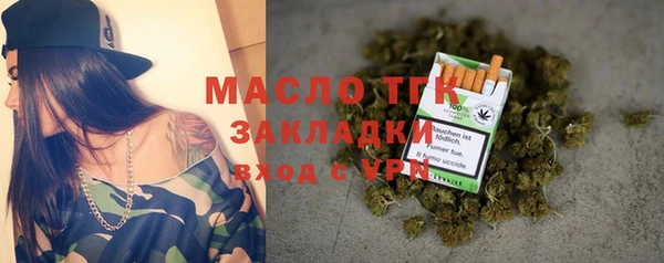 винт Пересвет