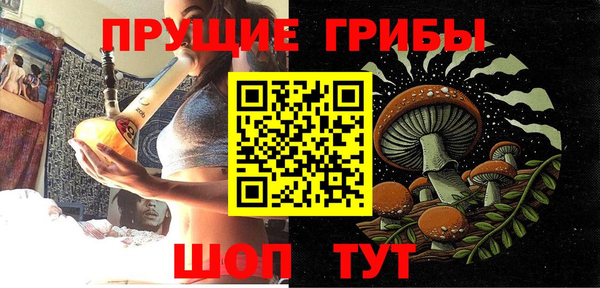 Галлюциногенные грибы Cubensis Бузулук