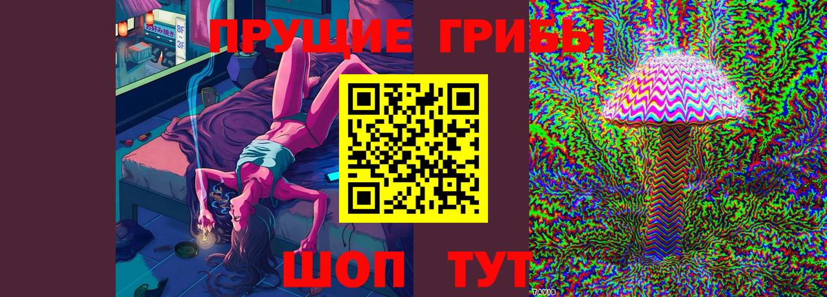 Бузулук  Псилоцибиновые грибы мухоморы  где можно купить   Вход с VPN 